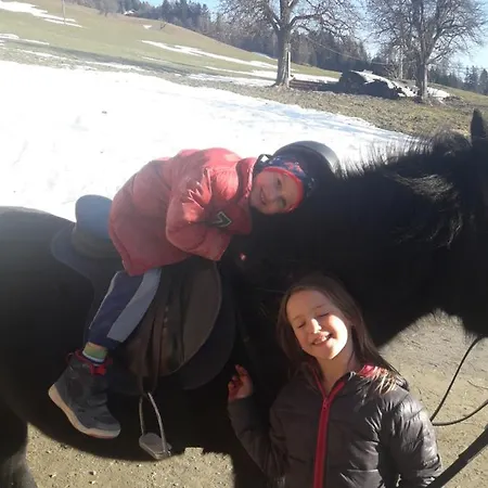 Zachhof Apartamento *