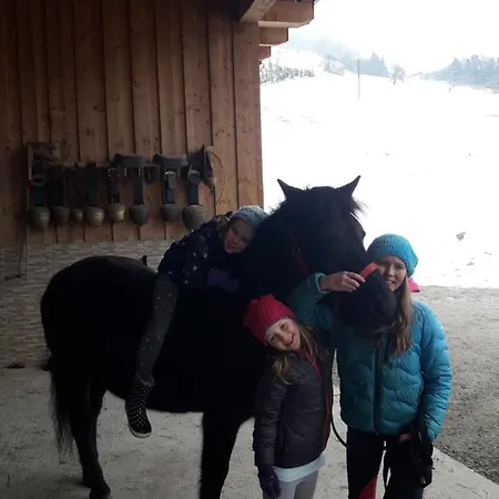 Zachhof Apartament Ellbögen