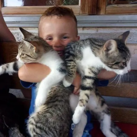 Appartamento Zachhof